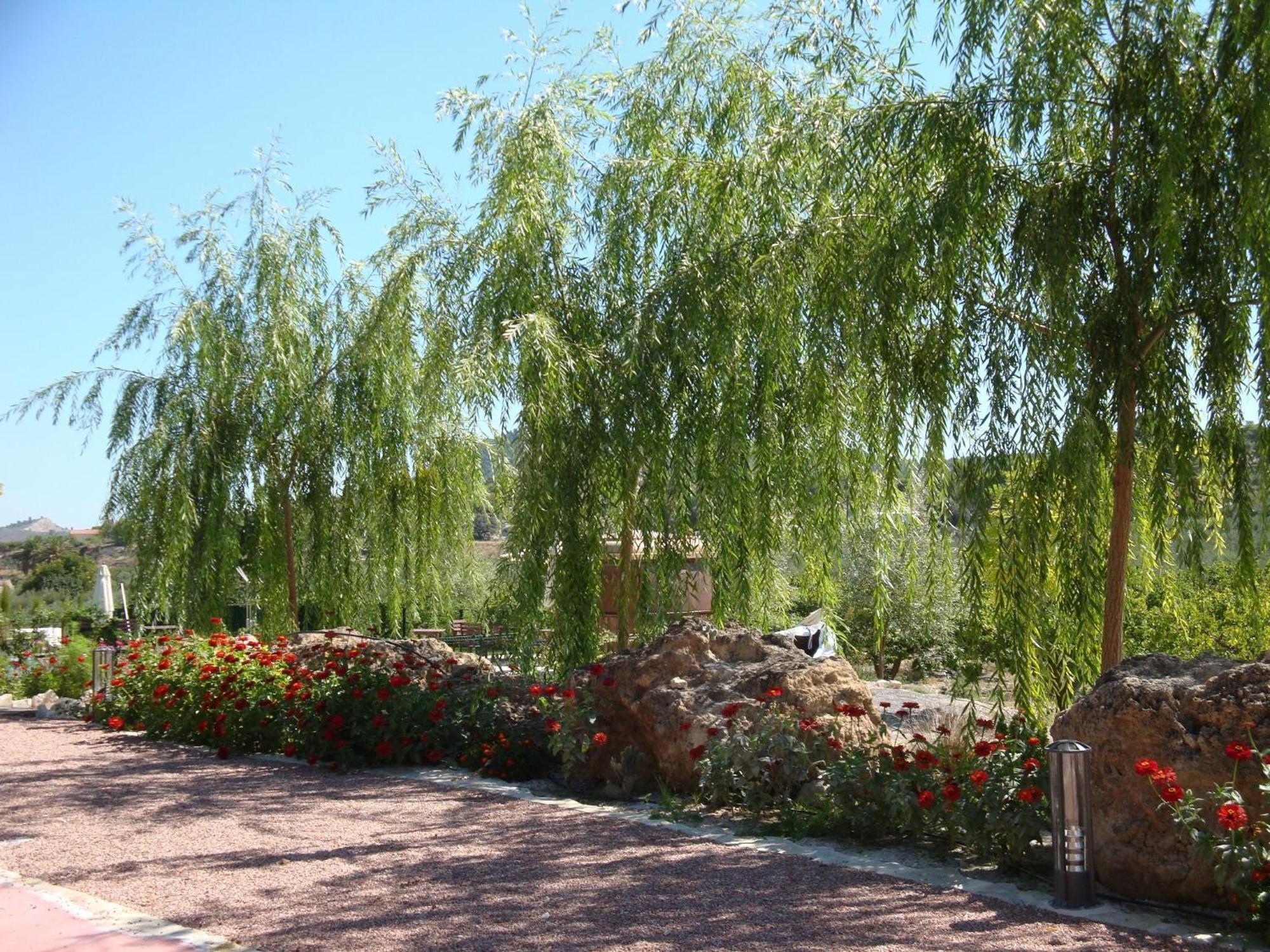 Jardines De Casablanca Caravaca De La Cruz Exterior foto